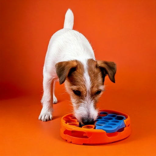 Puzzelspeelgoed & Activity (Hond)