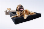 Bia Bed Fleece Hoes Hondenmand Grijs Bia-3 70X60X15 Cm