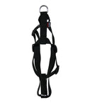 Martin Hondentuig Basic Nylon Zwart 25-35X1 Cm