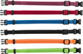 Trixie Puppy Halsband Set Zwart/Rood/Blauw/Appel/Papaya/Orchidee 17-25 Cm 6 St
