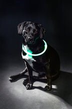 Trixie Lichtgevende Halsband Usb Flash Light Oplaadbaar Tpu Groen 40X0,8 Cm