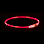 Trixie Lichtgevende Halsband Usb Flash Light Oplaadbaar Tpu Rood 40X0,8 Cm