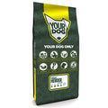 Yourdog Pyreneese Herder Volwassen 12 Kg