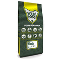 Yourdog Schotse Terriër Pup 12 Kg