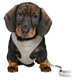 Trixie Junior Puppytuig Soft Met Riem Lichtgrijs 26-34X1 Cm  / 2 Mtr