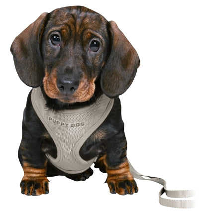 Trixie Junior Puppytuig Soft Met Riem Lichtgrijs 26-34X1 Cm  / 2 Mtr
