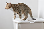 Savic Kattenbak Hop In Wit / Mokka 58,5X39X39,5 Cm