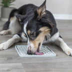 Trixie Lick'n'snack Mat Siliconen Lichtgrijs 20X20 Cm