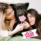 Smoofl Ijsmix Voor Honden Aardbei 160 Gr