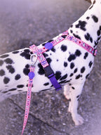 Morso Hondenriem Gerecycled Sweet Tweet Roze 120X1,5 Cm Tot 6 Kg