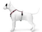 Morso Hondentuig H-Tuig Gerecycled Skyline Rood / Roze 40-55X1,5 Cm