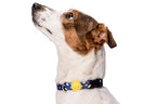 Morso Halsband Hond Gerecycled Color Invaders Paars 30-42X1,5 Cm