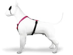 Morso Hondentuig H-Tuig Gerecycled Bubble Leo Roze 40-55X1,5 Cm
