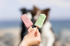 Trixie Ice Pop Rood 55 Gr