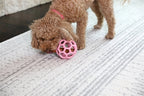 Jw Hol-Ee Roller Trend-Ee Roze 7,5X7,5X7,5 Cm