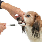 Trixie 3-Koppige Tandenborstel Hond / Kat Wit / Grijs 18 Cm