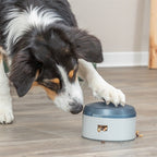 Trixie Dog Activity Buzzer Kunststof 14X14X9,5 Cm
