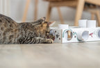 Trixie Cat Activity Paws'n'treats Box Karton 35X20X7 Cm