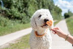Trixie Premio Lolly Met Kip En Rijst 10 Cm 30 St
