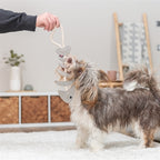 Trixie Visgraat Leer Met Touw 43 Cm