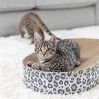 Trixie Krabmat / Mand Leo Karton Met Kattenkruid / Catnip Creme 63X35X10 Cm