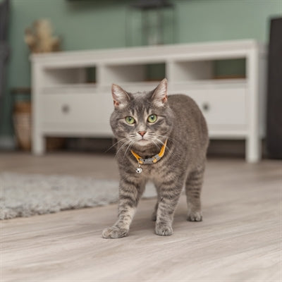 Trixie Kattenhalsband Geblokt Motief Assorti 20-30X1 Cm