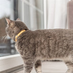 Trixie Kattenhalsband Geblokt Motief Assorti 20-30X1 Cm